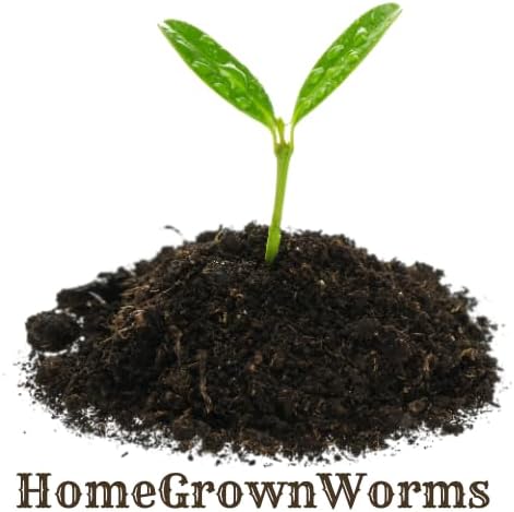 1000+ (1LB) Red Wigglers Live Worms for Composting Bins and Garden - Live Delivery! - Composting Earthworms - Great for Worm Castings, Pet Food, Garden Worms, Composting, Worm Farm for Kids!