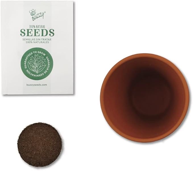 BUZZY Seeds Mini Terracotta Pots 12-Pack with Plant Seeds, Poppy, Sunflower, Daisy, Cactus and Forget Me Not, All-in-One Seed Starter Kit, Indoor Outdoor Gardening Gift, Wedding Favors, Mother's Day