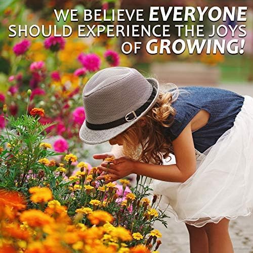 Northeastern Wildflower Seeds Bulk – 5 lb, 3.2 Million+ Seeds – Annual & Perennial Native Wildflower Mix – Regional Flower Seed for Pollinators