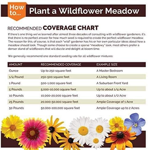 Dirt Goddess Super Seeds Northeast Wildflower Seed Mix (1 Lb)