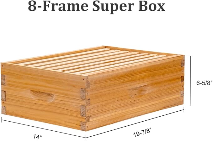 BeeCastle 8 Frame Langstroth Bee Hive Coated with Beeswax Includes Beehive Frames and Waxed Foundations (1 Deep Box & 1 Medium Box)