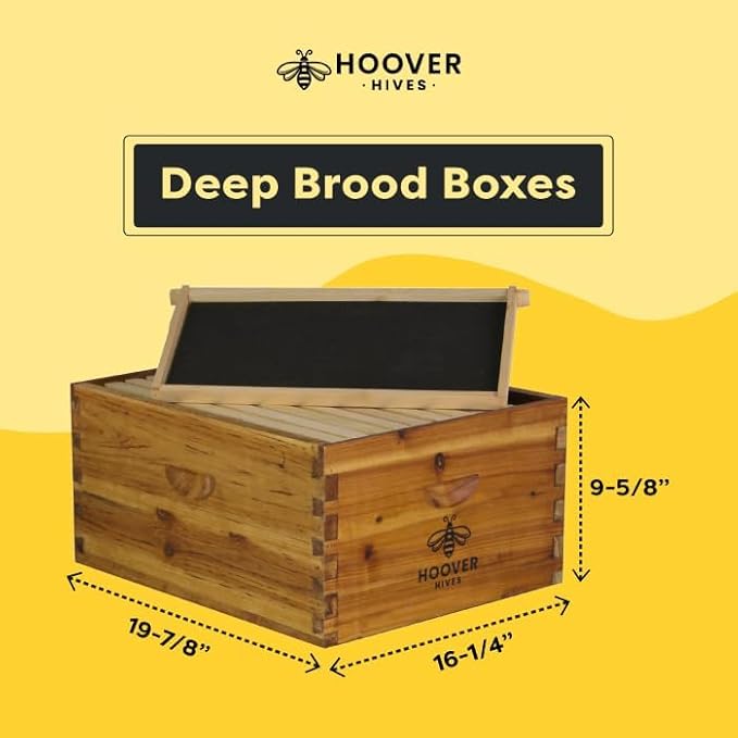 Hoover Hives: The Original Beeswax Coated Beehive Kit. Includes 2 Deep & 1 Medium Boxes with 10 Wooden Frames & Heavy Wax Coated Foundations. Easy Assembly with Predrilled Holes& Screws (Unassembled)