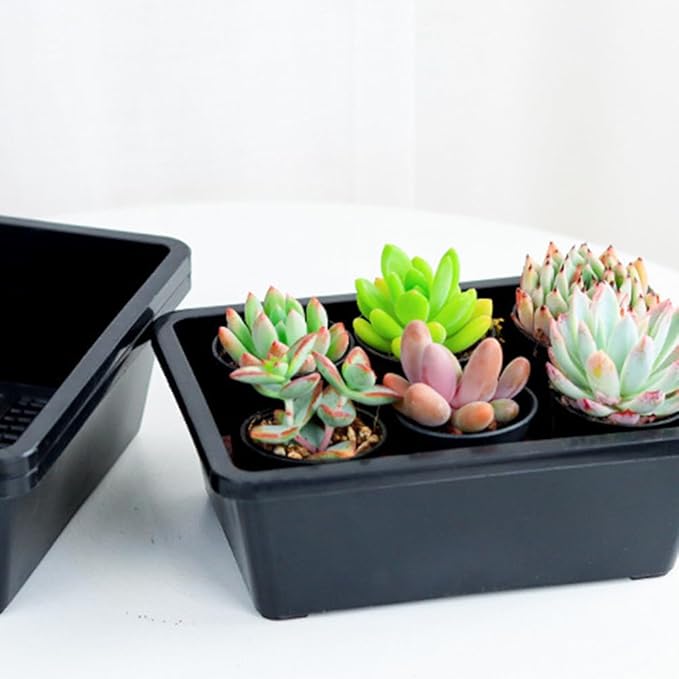 YARNOW 10 Pcs Mesh Bottom Trays Seedling Starter Trays Plastic Plant Reusable Recyclable Grow Plants Start Seeds Germination for Greenhouse Hydroponics Home Decor Accents