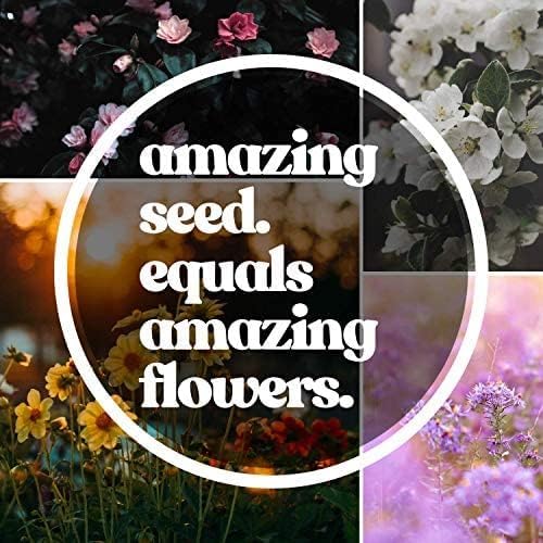 Northeastern Wildflower Seeds Bulk – 5 lb, 3.2 Million+ Seeds – Annual & Perennial Native Wildflower Mix – Regional Flower Seed for Pollinators
