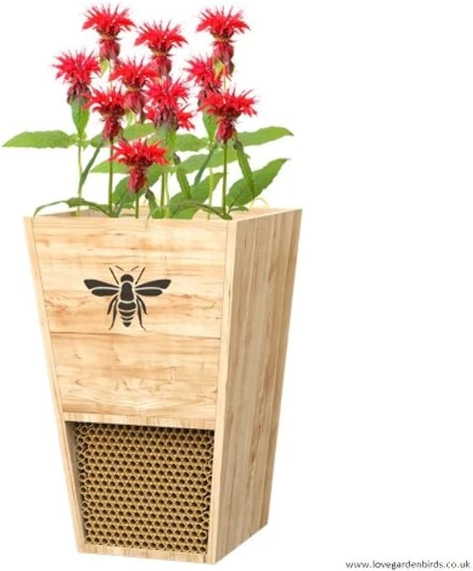 Durable Cedar Mason Bee House & Planter by Woodlink