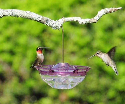 Aspects 434 HummZinger Humm Blossom Hummingbird Feeder