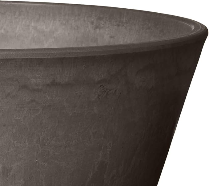 PSW Pot Collection TD25DC Plastic/Stone/Wood Composite Shallow Bulb Pan - No Drainage Hole (Drillable), Planter for Succulents, Bonsai, Fairy Gardens, Herbs, 10-inch, Dark Charcoal