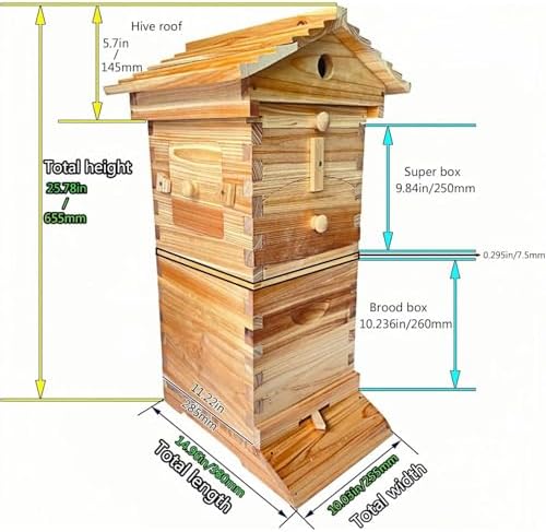 Beehive Starter Kit, Bee Hive,with Observation Window & Honey Spout, Includes Carpenter Bee House, for Garden Pollinators