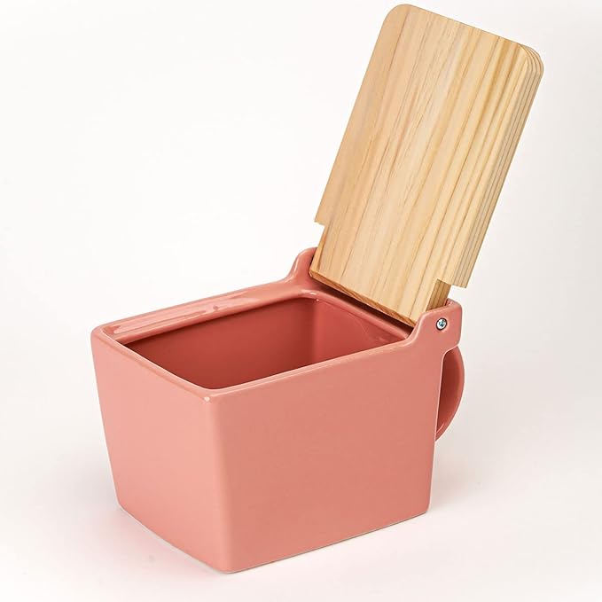 Zero Japan Bee House Premium Salt Box with Hinoki Lid - Container for Sea Salt and Spices - Elegant Cellar for Kitchen Countertop - Coral Pink, 16 oz