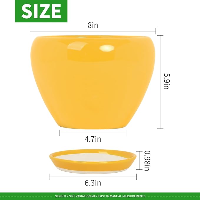 Deep Dream 8 Inch Plant Pots- Ceramic Pots for Plants with Drainage Hole and Saucer, Large Planter Pot for Indoor Plants Outdoor Decor, Yellow