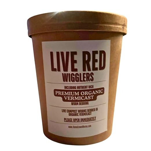 500 (1/2lb+) Red Wigglers Live Worms for Composting and Garden - Earth Worms - Live Delivery! Worm Castings - Worm Farm for Kids & Worm Castings Starter
