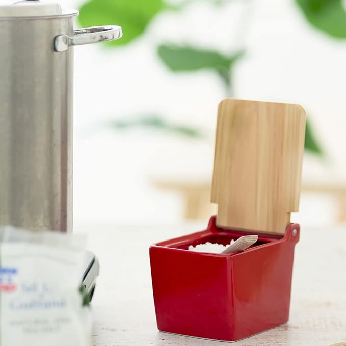 Zero Japan Bee House Premium Salt Box with Hinoki Lid - Container for Sea Salt and Spices - Elegant Cellar for Kitchen Countertop - Tomato, 16 oz