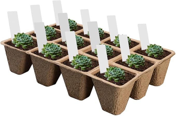 Biodegradable Pulp Nursery Pots and Planting Cases 24pcs Set with White Toppers for Seed Starting and Indoor Garden Propagation