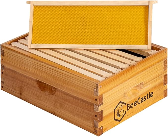 BeeCastle 8 Frame Medium Super Bee Hive Box, Langstroth Honey Bee Hive Dipped in 100% Beeswax Include Beehive Frames and Wax Foundations (Unassembled)