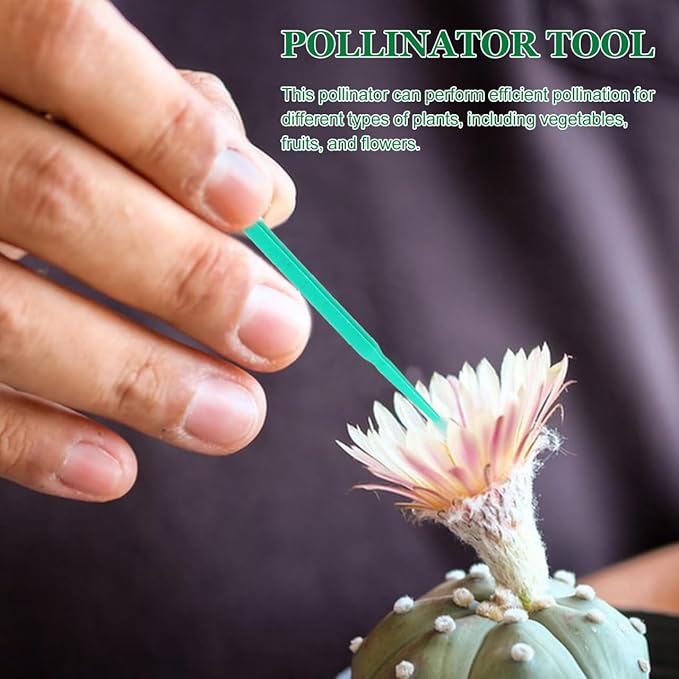 Vegetable Pollinator Tool Hand Pollination Pen for Garden Fruit Succulent Plants Manual Pollination Stick for Efficient Crop
