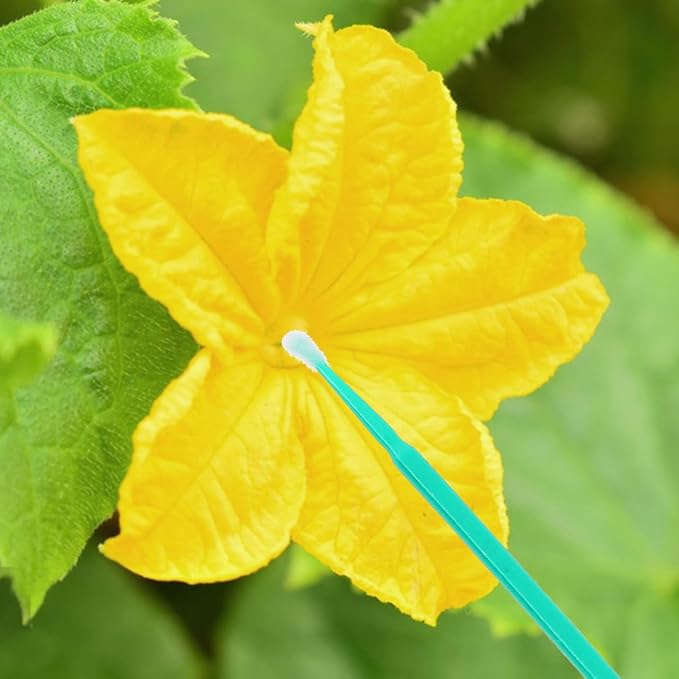 Vegetable Pollinator Tool Hand Pollination Pen for Garden Fruit Succulent Plants Manual Pollination Stick for Efficient Crop