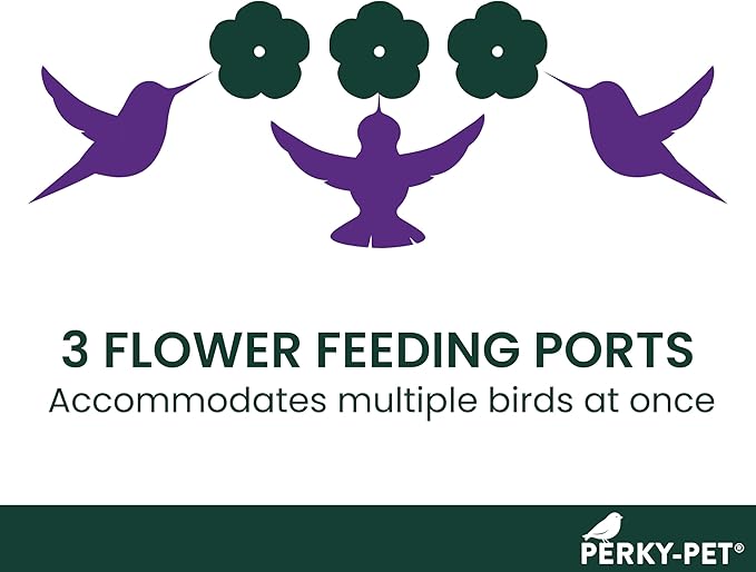 Perky-Pet Plastic Window Mount Hummingbird Feeder with Perches - 8 oz Hummingbird Nectar Capacity,217 -Hummingbird feeders for Outdoors,(Pack of 6)