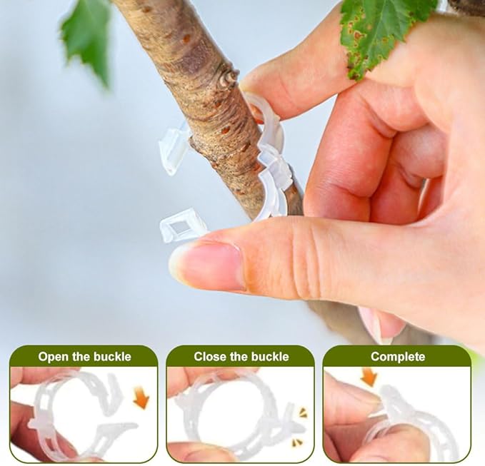 100 PCS Secured Plastic Plant Clip, Plant Support Clips, Garden Clips for Climbing Plants, Plastic Trellis Clips Plant Support Clips Tomato Grape Vine Vegetables Plant Fixing Clips (100, Black)