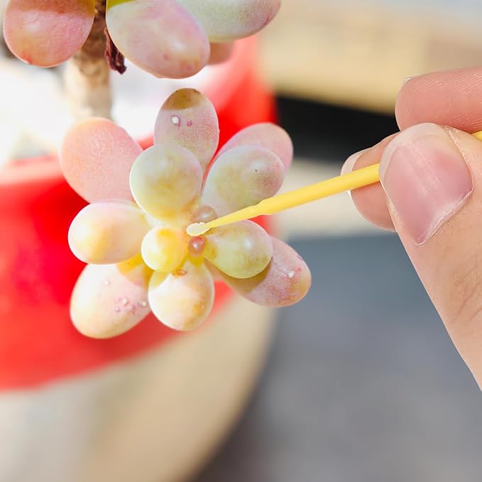 Vegetable Pollinator Tool Plant Pollination Pen for Garden Flowers Fruits Succulent Outdoor Hand Pollinator Brush