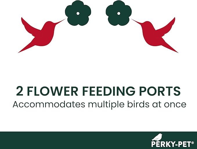 Perky-Pet Window-Mounted Glass Hummingbird Feeder - 14 fl oz Nectar Capacity - Entertaining Bird Watching - Glass Window Bird Feeder - 455-2 - Family Birdwatching