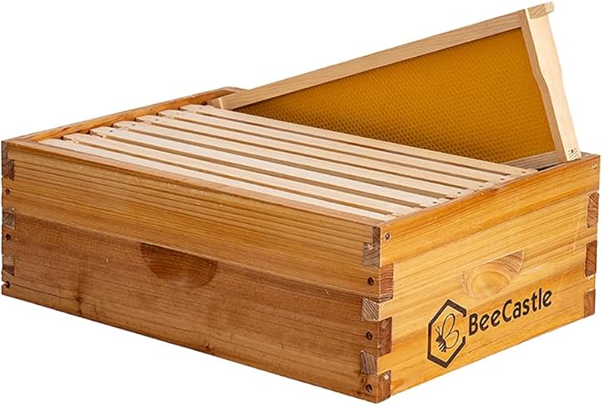 BeeCastle 8 Frame Medium Super Bee Hive Box, Langstroth Honey Bee Hive Dipped in 100% Beeswax Include Beehive Frames and Wax Foundations (Unassembled)