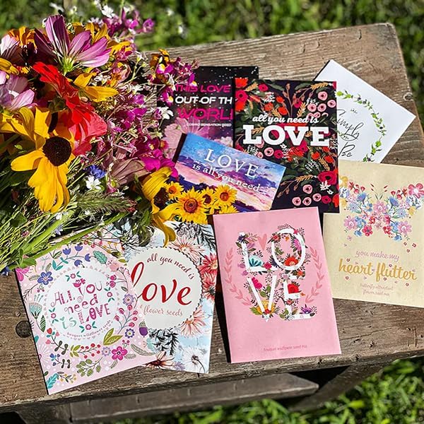 Love is All You Need - 25 Assorted Sunflower Packets for Planting, Helianthus Flower Seeds, Beautiful Valentine's Day Gift, Bentley Seed Co.