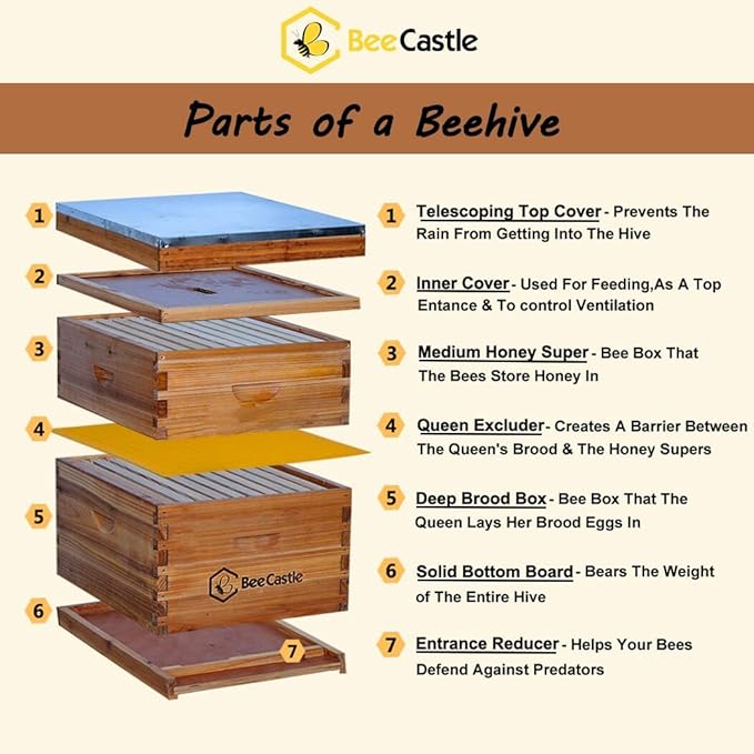 BeeCastle 10-Frames Complete Beehive Kit, 100% Beeswax Coated Bee Hive Includes Beehive Frames and Beeswax Coated Foundation Sheet (2 Layer)