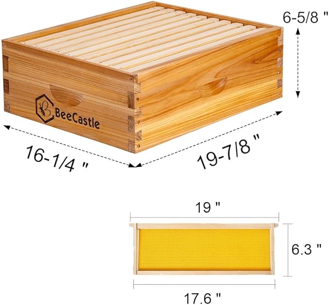 BeeCastle 10 Frame Medium Super Bee Hive Box, Langstroth Honey Bee Hive Dipped in 100% Beeswax Include Beehive Frames and Wax Foundations (Unassembled)