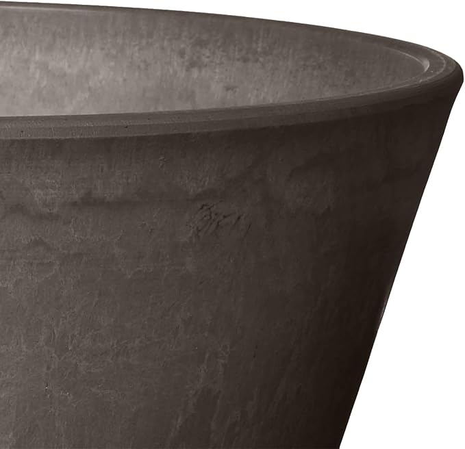 PSW Pot Collection TD25DC Plastic/Stone/Wood Composite Shallow Bulb Pan - No Drainage Hole (Drillable), Planter for Succulents, Bonsai, Fairy Gardens, Herbs, 10-inch, Dark Charcoal