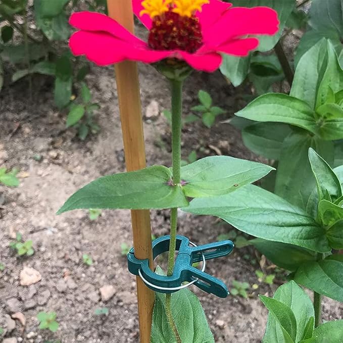 80PCS Garden Plant Supports Clips, 2 Sizes Adjusting Reusable Plant Clips for Supporting Stems of Flower Vine Vegetables Tomatoes Climbing