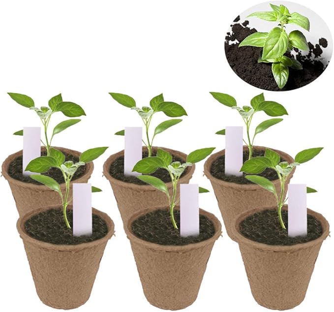 200 Pack 3.15" Round Biodegradable Peat Pots Plant Seedling Saplings & Herb Seed Starters Kit with 200 Pcs White Plastic Plant Labels
