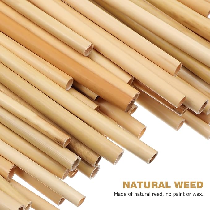 Mipcase Natural Reed Bee Tubes 200Pcs Mason Bee House Tubes Replacement Nest Liners for Pollination Breeding and Beekeeping Supplies