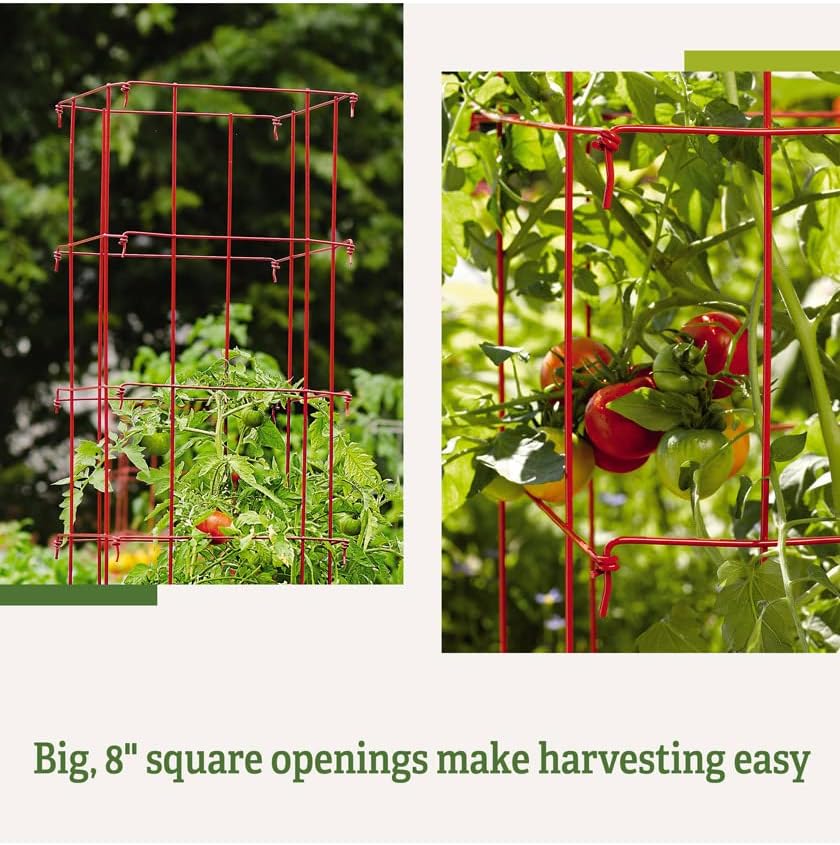 Gardener’s Supply Company Lifetime Tomato Cages | Heavy Gauge Sturdy Garden Plant Supports for Vegetables and Other Climbing Plants | No Assembly Needed - Green (Set of 4)