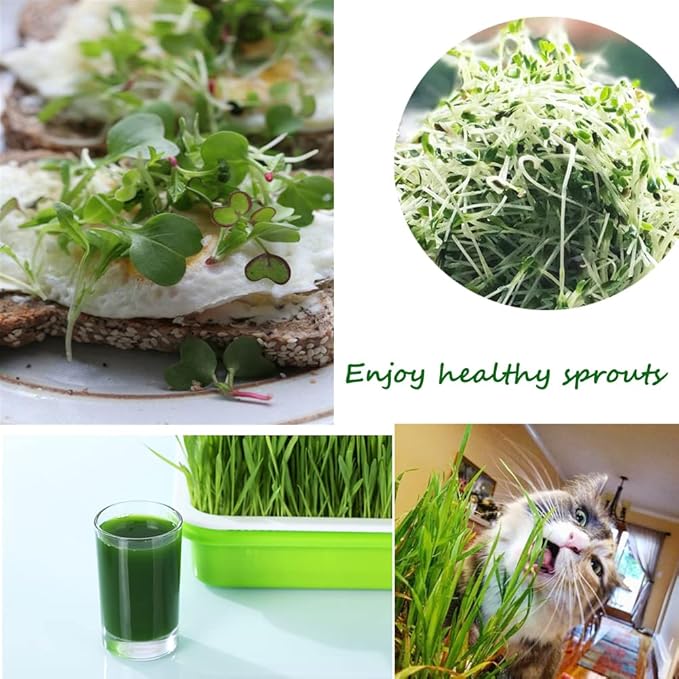 Seed Sprouter Germination Tray 5 Pack, BPA Free Nursery Healthy Wheatgrass Seeds Grower & Storage Trays for Garden Home Office