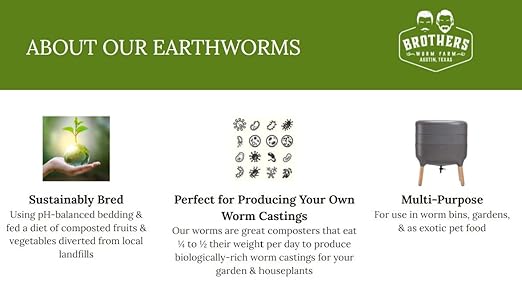 BROTHERS WORM FARM - 1/2 LB (~500) Red Wiggler Compost Worm Blend. Live Worms for Composting and Creating Worm Castings at Home. Ideal for Worm Composters, Gardens, and Worm Bins.
