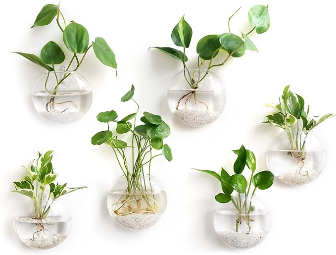 Mkono Wall Hanging Glass Terrariums Planter Oblate Flower Vase for Hydroponics Plants, Bathroom, Home Office Living Room Decor, Set of 6