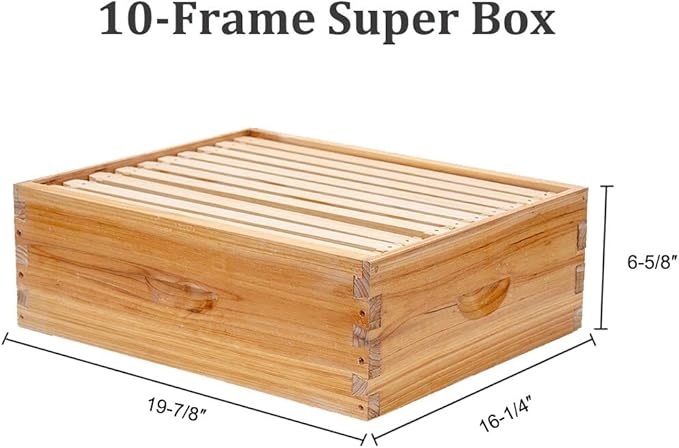 BeeCastle 10-Frames Complete Beehive Kit, 100% Beeswax Coated Bee Hive Includes Beehive Frames and Beeswax Coated Foundation Sheet (2 Layer)