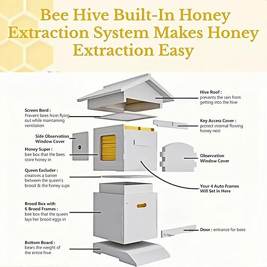 Beehive Starter Kit,Self-Flow Hive Beehive Starter Kit,Frame Complete Bee Box with Observation Window & Honey Spout,Carpenter Bee House,for Garden Pollinators