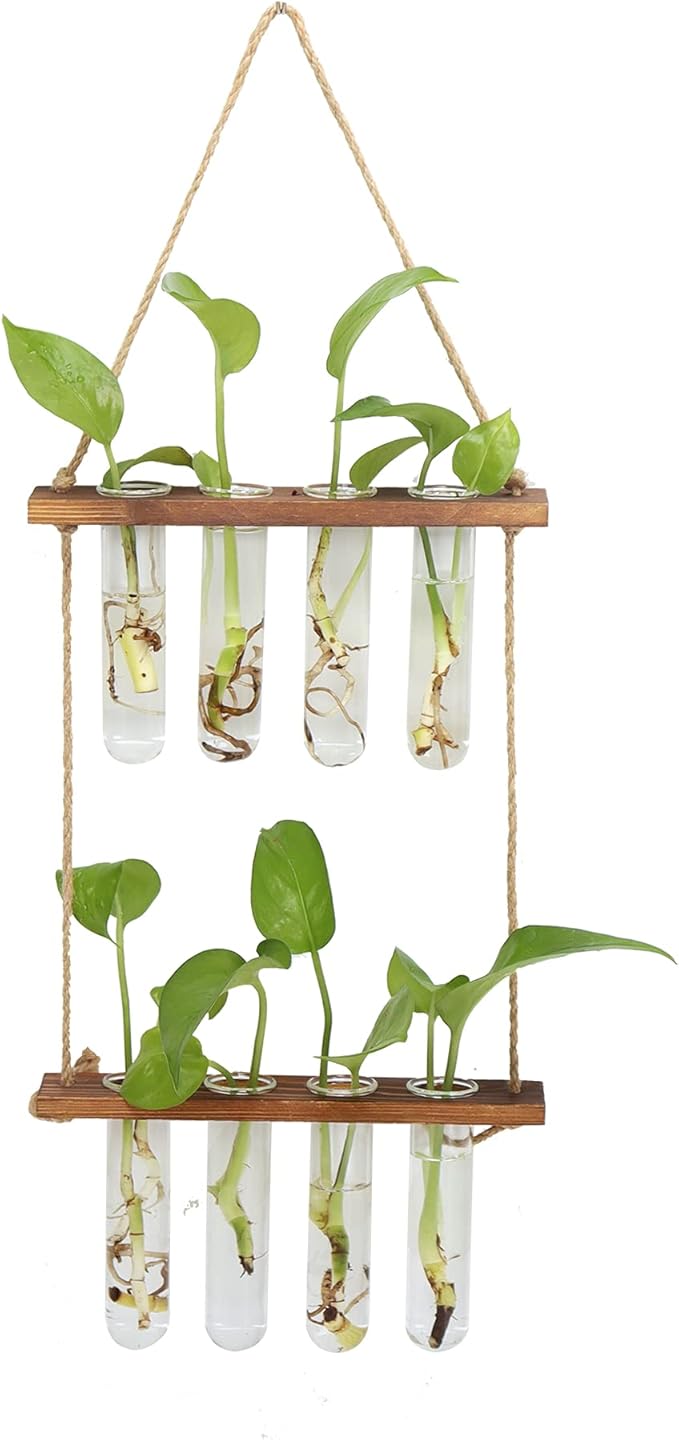 Wall Hanging Planters Propagation Tubes with Wooden Stand,2 Tier Retro Terrarium Glass Containers Hydroponic Garden Plants Propagation Stations for Office Home Decor,8pcs Test Tubes (Brown)