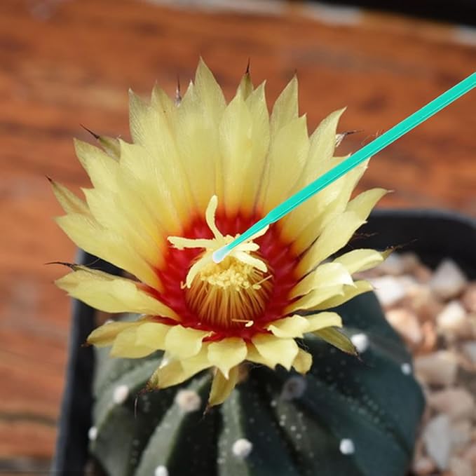 Vegetable Pollinator Tool Hand Pollination Pen for Garden Fruit Succulent Plants Manual Pollination Stick for Efficient Crop