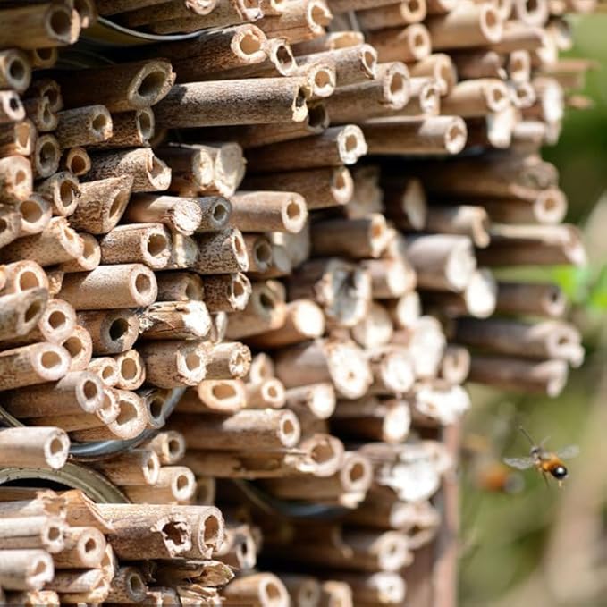 20Pcs Bee House Tubes Natural Reed Pollinator Tubes for Leaf Nesting Supplies for Garden and Pollinator Habitat