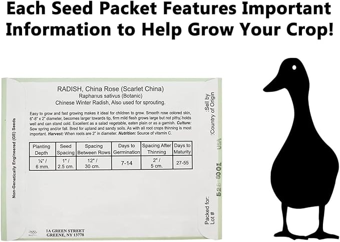 Set of Flower Seed Packets! Flower Seeds in Bulk - Great for Creating The Garden of Your Dreams! (200, Forget-Me-Not Blue)