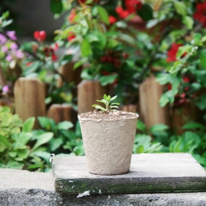 120PCS 3.15 Inch Peat Pots for Seedling, Outdoor Garden Germination Nursery Peat Pots Plants with Bonus 20 Plant Labels