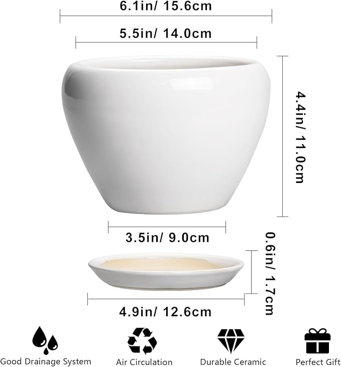Ceramic Pot for Plants - 6 Inch Plant Pot for Succulent Plants, Glaze Modern Round Planter with Drainage Hole and Saucer, Gifts for Plant Lovers, Home Office Patio Room Decor, White