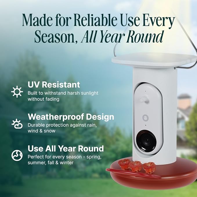 Birdbuddy Smart Non-Solar Pro Hummingbird Feeder with Camera - AI Bird Identification, 2K Video, 5MP Photos, Outdoor Hanging, Gift for Bird Watching (Pack of 2)