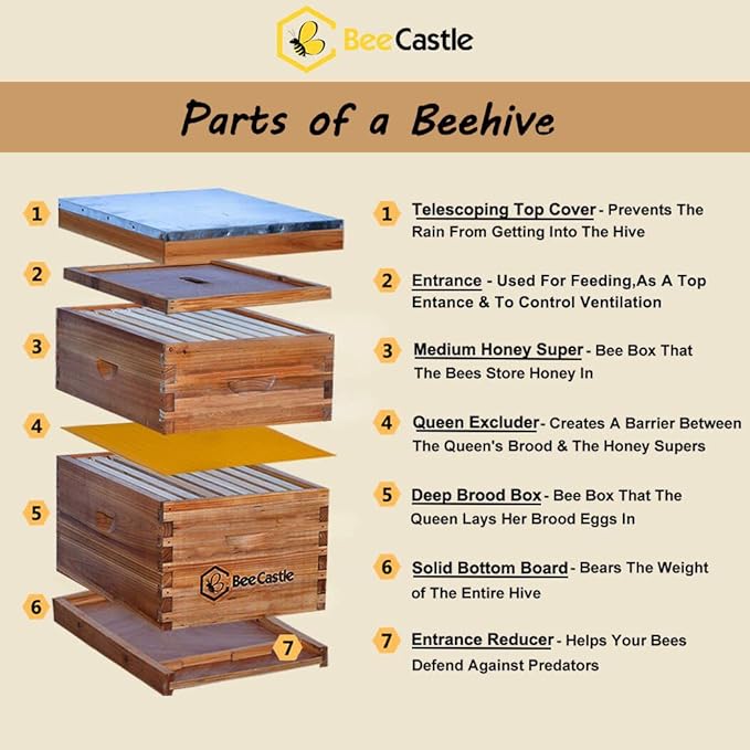 BeeCastle 8 Frame Langstroth Bee Hive Coated with Beeswax Includes Beehive Frames and Waxed Foundations (1 Deep Box & 1 Medium Box)
