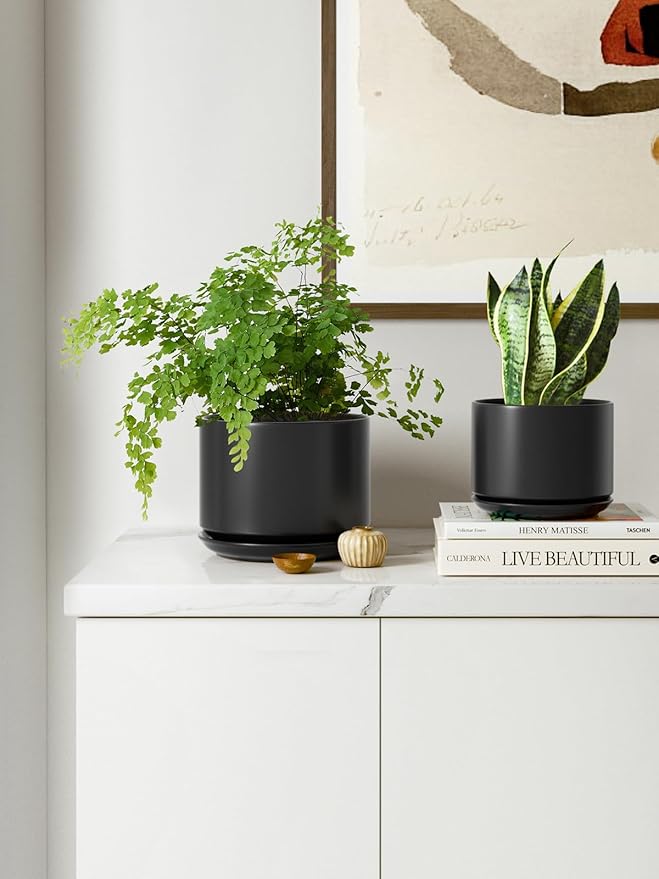 LE TAUCI Ceramic Pots for Plants, 6.8 Inch Plant Pots with Drainage Hole & Saucer, Modern Planter for Indoor Plants, Stable & Durable, Perfect for Living Room or Office Decor, Black