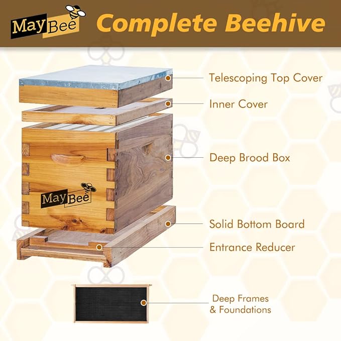 MayBee 5-Frame Nuc Beehive for Bees Complete Bee Hive Box Kit with Metal Roof Includes Wooden Frames & Waxed Foundations for Langstroth Beekeeping