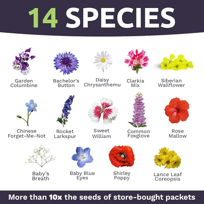 Bulk Wildflower Seeds Partial Shade Mix - 1 Pound Bag Over 120,000 Open Pollinated Annual and Perennial Seeds
