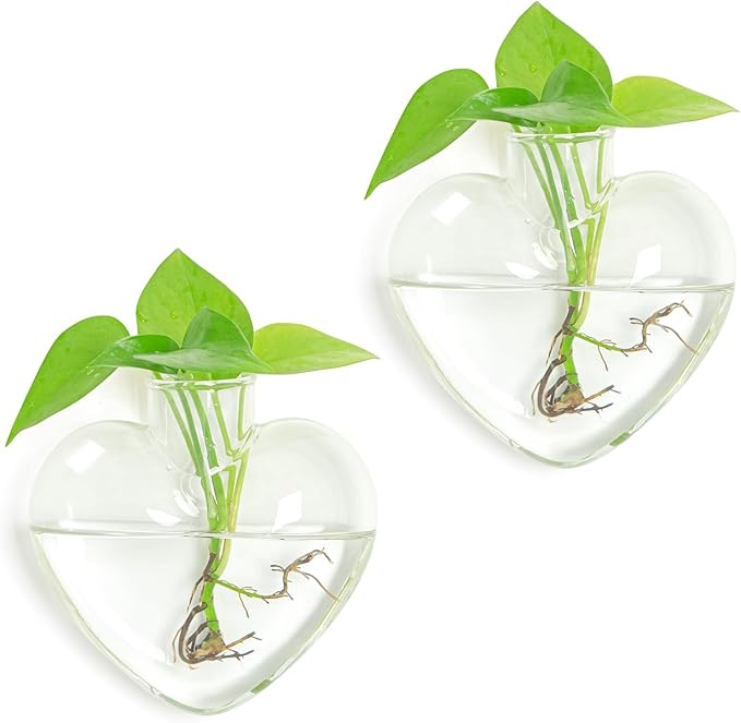 XXXFLOWER Wall Hanging Glass Terrariums，Clear Planters Propagation Station Glass Flower Vase,Air Plant Terrariums for Hydroponic Plants,Home Office Decor,Gifts,Heart-Shaped Set of 2